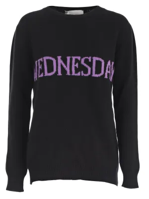 Alberta Ferretti Weekday Sweater