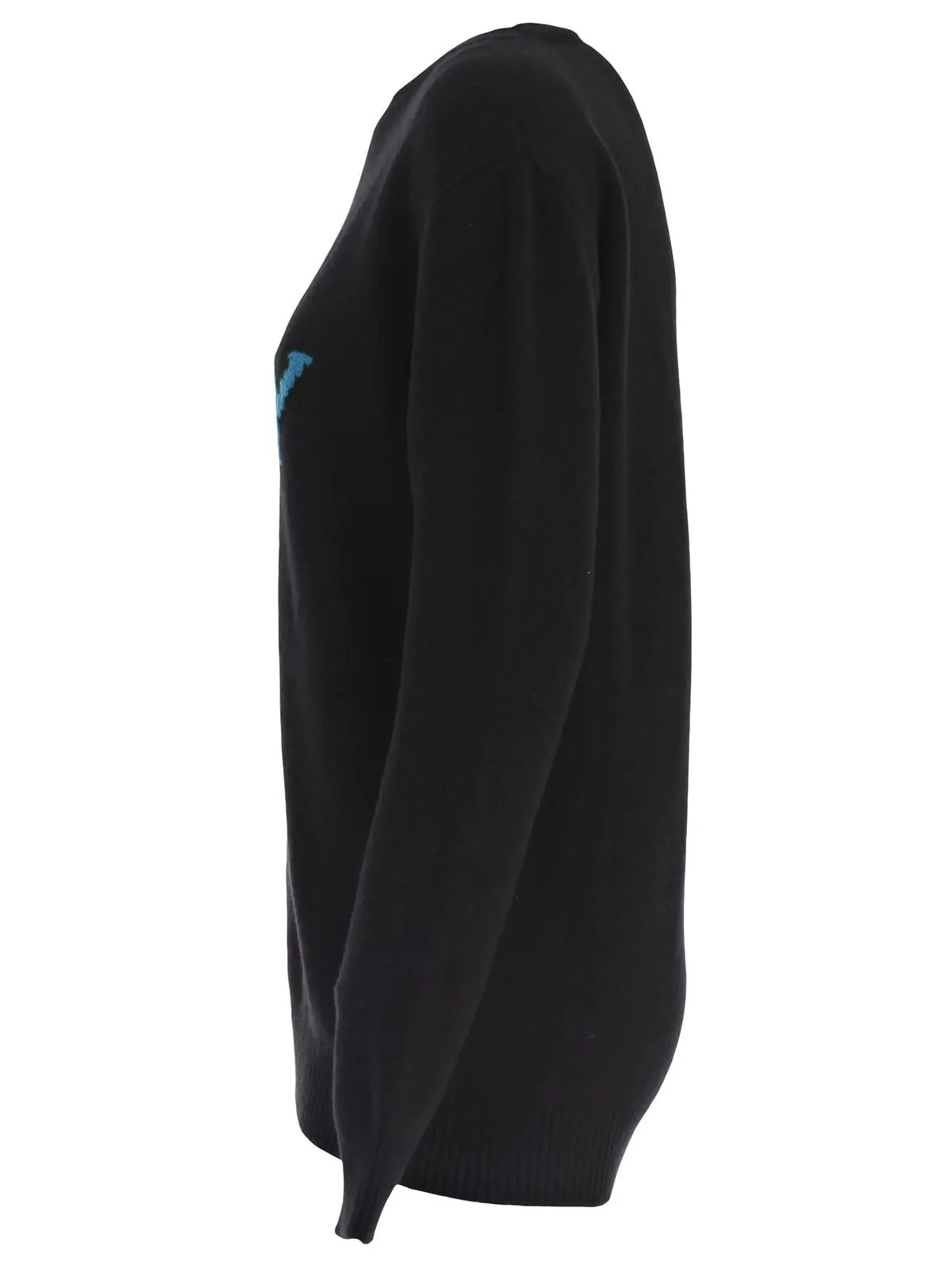 Alberta Ferretti Weekday Sweater