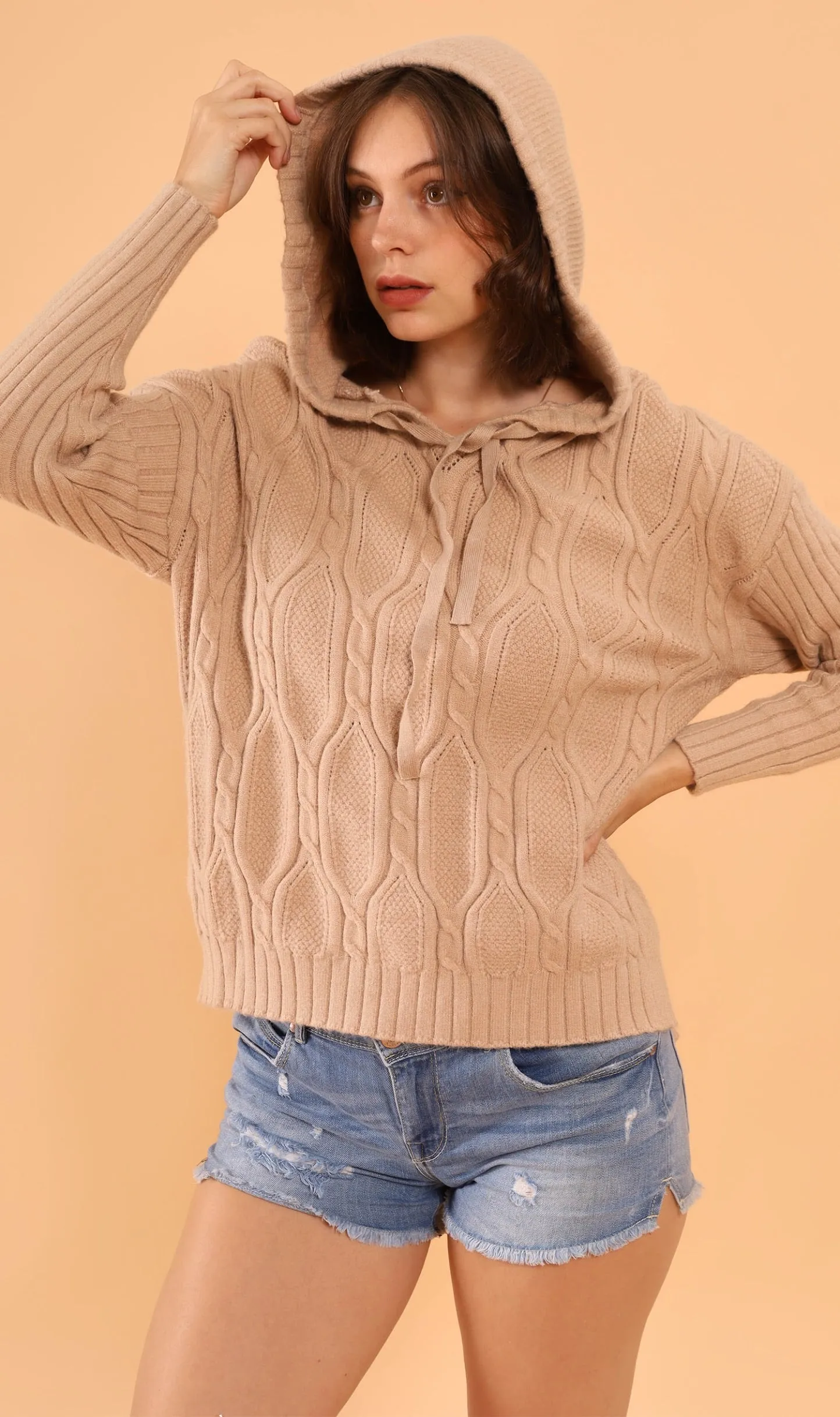 ALYSSA Textured Knit Hoodie (Mocha)