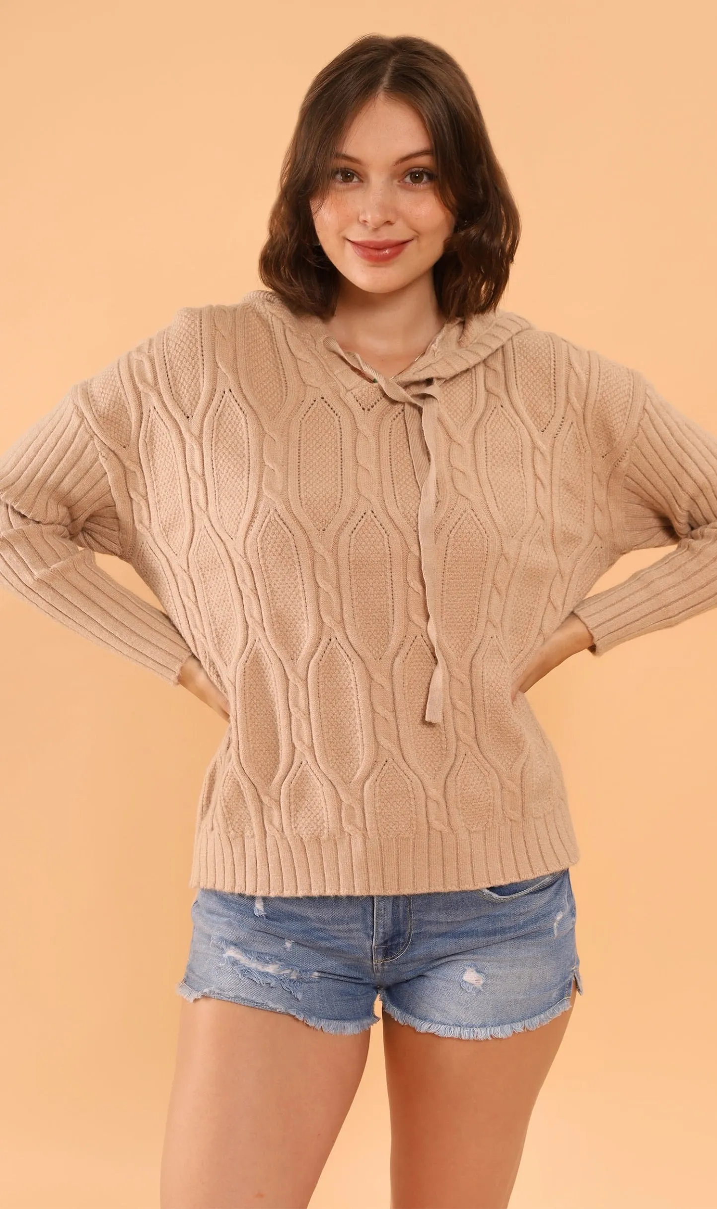 ALYSSA Textured Knit Hoodie (Mocha)