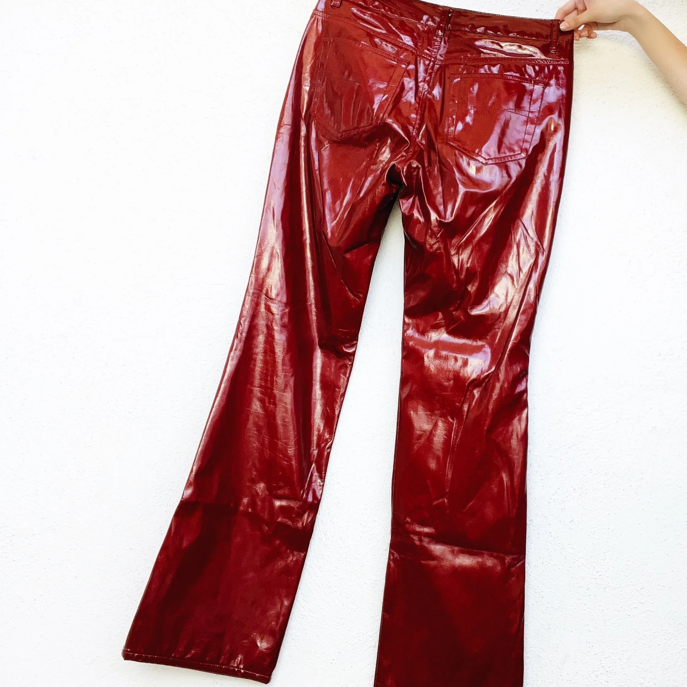 Deep Red Wet Look Pants (M)